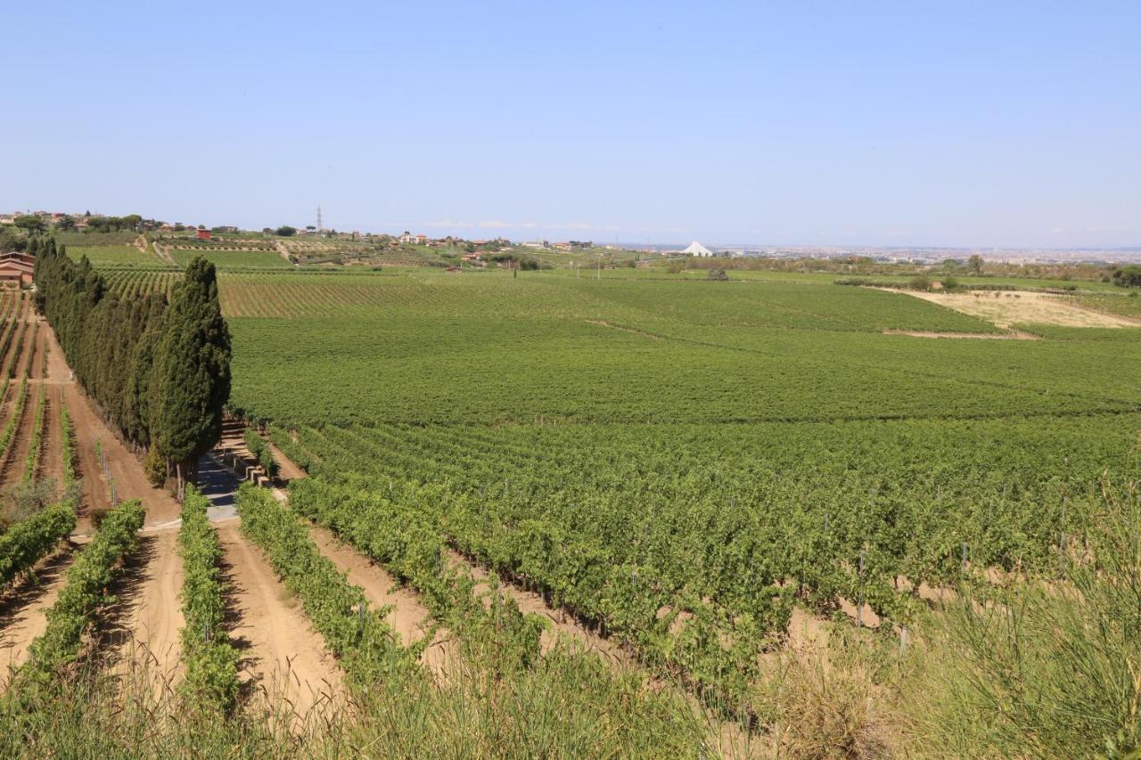 Tenuta Di Pietra Porzia Monte Porzio Catone Ngoại thất bức ảnh