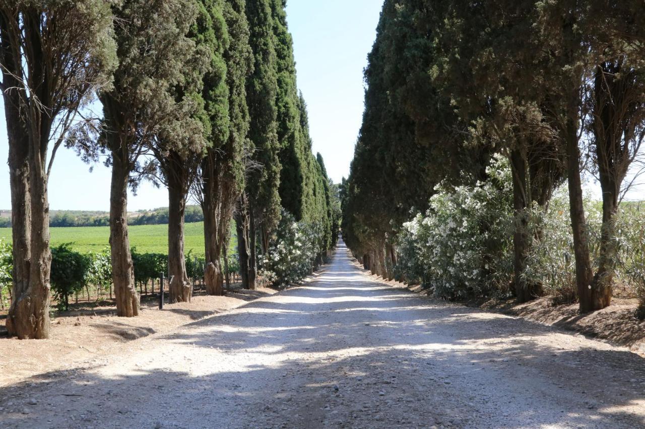 Tenuta Di Pietra Porzia Monte Porzio Catone Ngoại thất bức ảnh