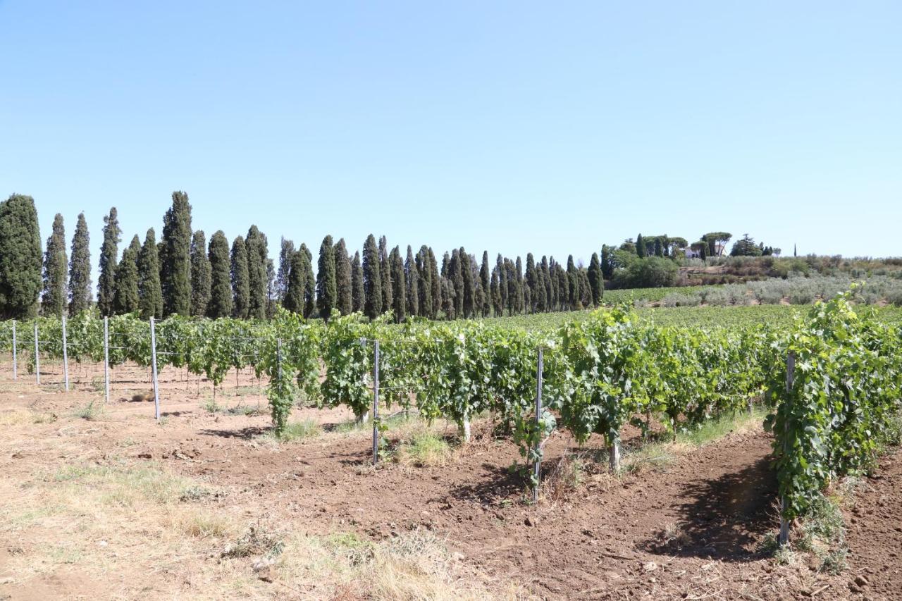 Tenuta Di Pietra Porzia Monte Porzio Catone Ngoại thất bức ảnh